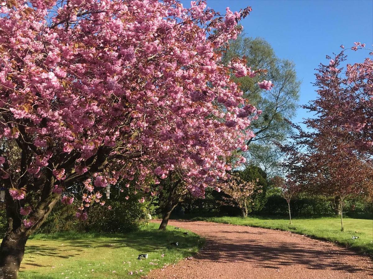 The Beeches B&B Kilmaurs Bagian luar foto